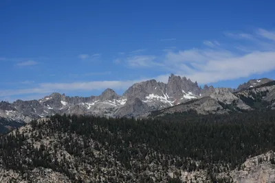 DSC_9959 (Large).JPG